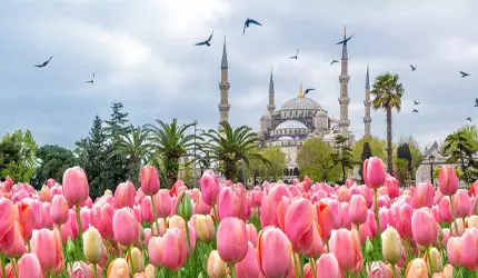 تور استانبول از اصفهان - ویژه نوروز وکنسرت